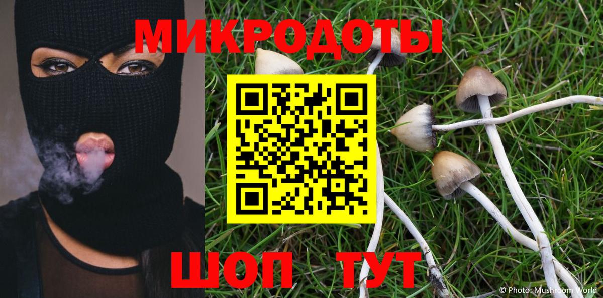 Северск  Псилоцибиновые грибы MAGIC MUSHROOMS  Галлюциногенные грибы мицелий  Вход с VPN 