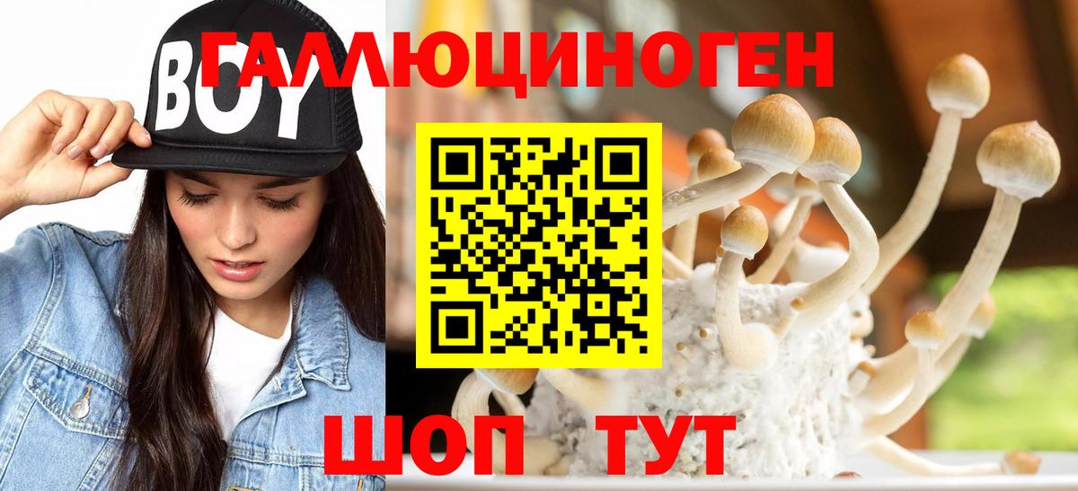 Галлюциногенные грибы Cubensis Северск
